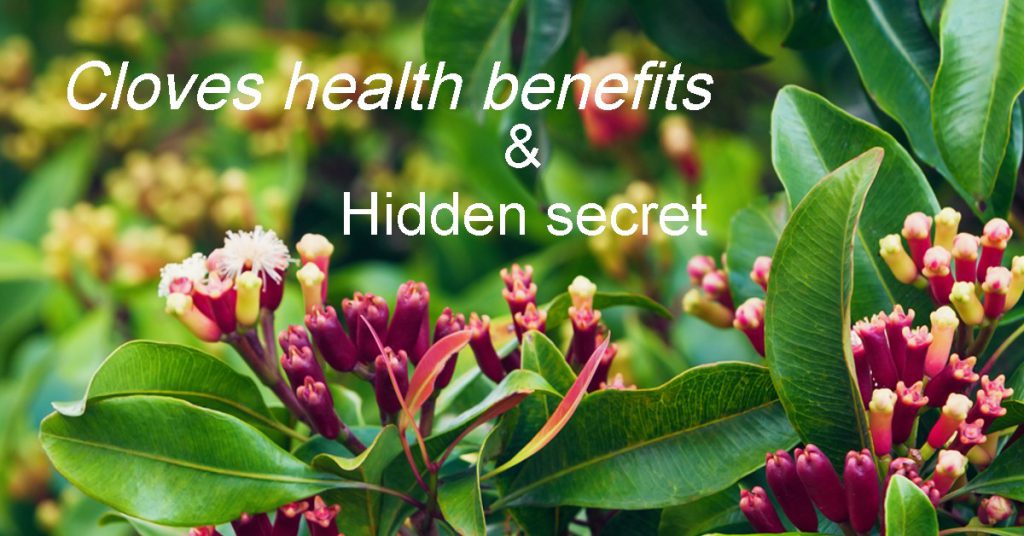 What is Clove & is it good for thinning the blood Hematic Food
